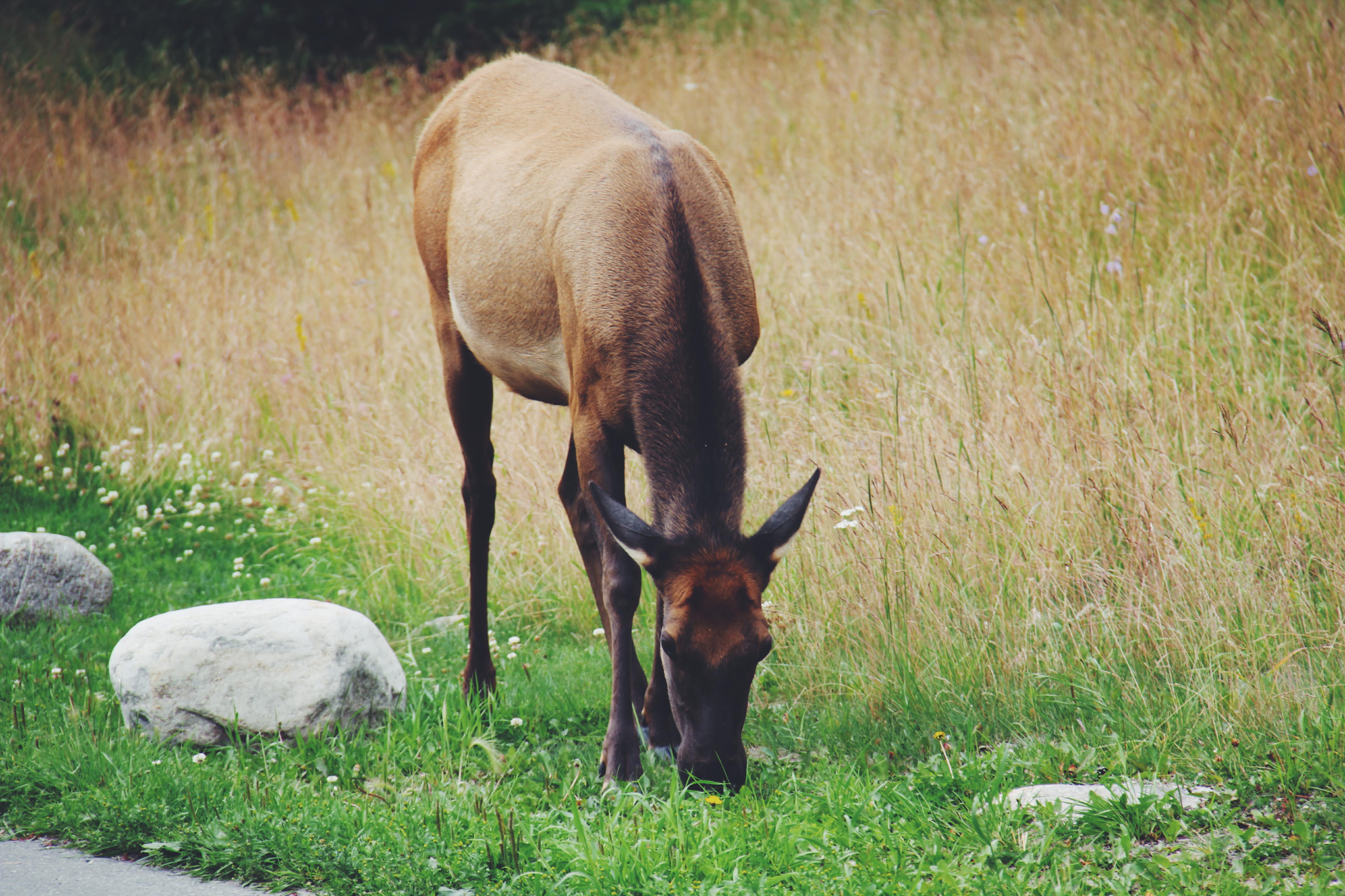 Canada and New York 2011 39